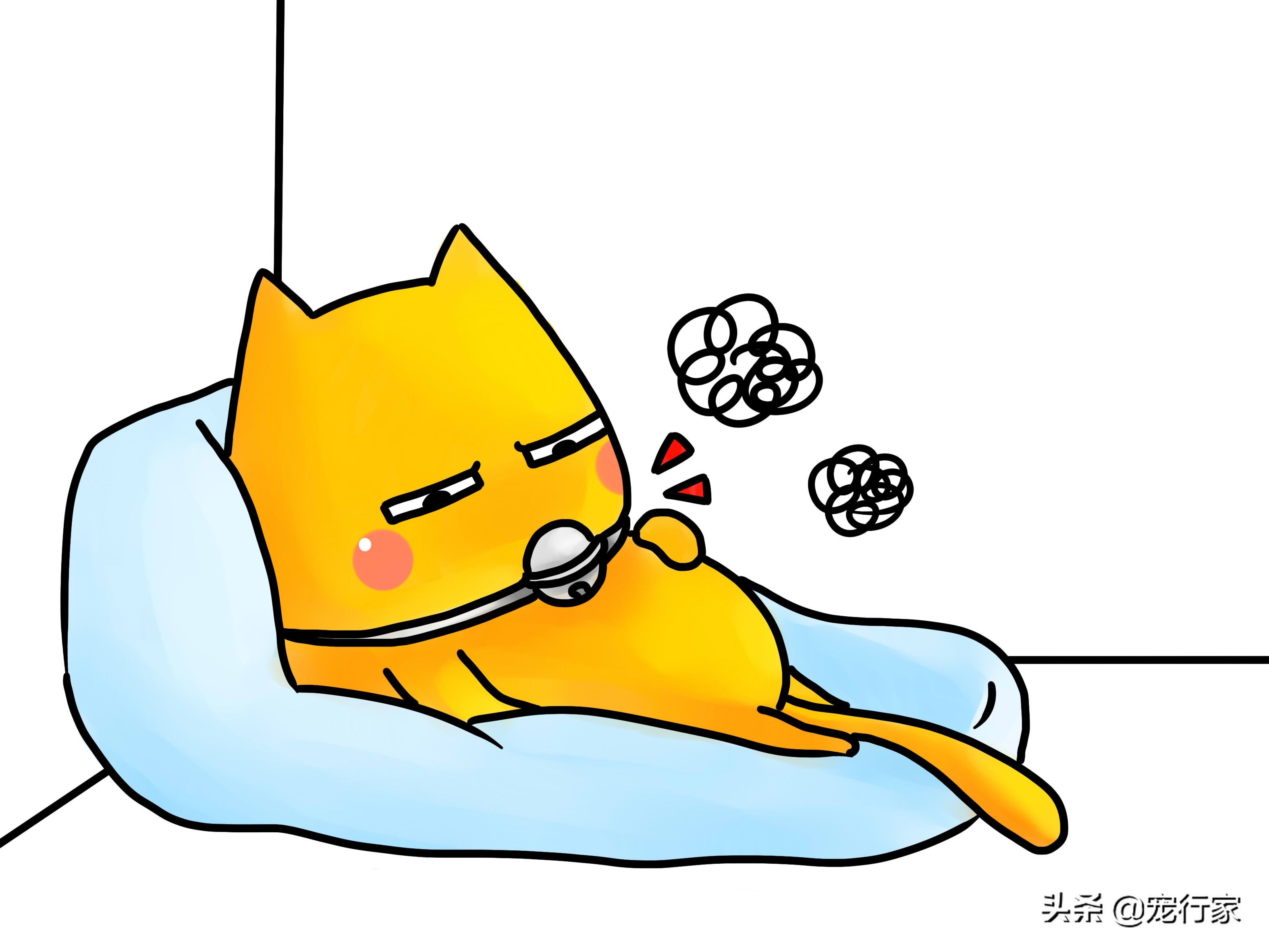 先天性失聪的猫咪能和猫咪交流吗,如何养一只耳聋的猫