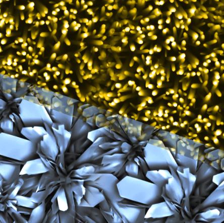 小说封面设计入门教程,怎样把文章变成自己写的