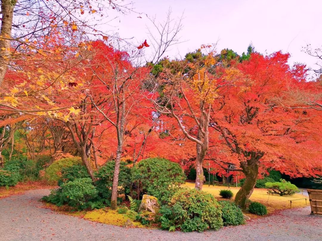 岚山哪有好玩的,日照岚山区值得去吗