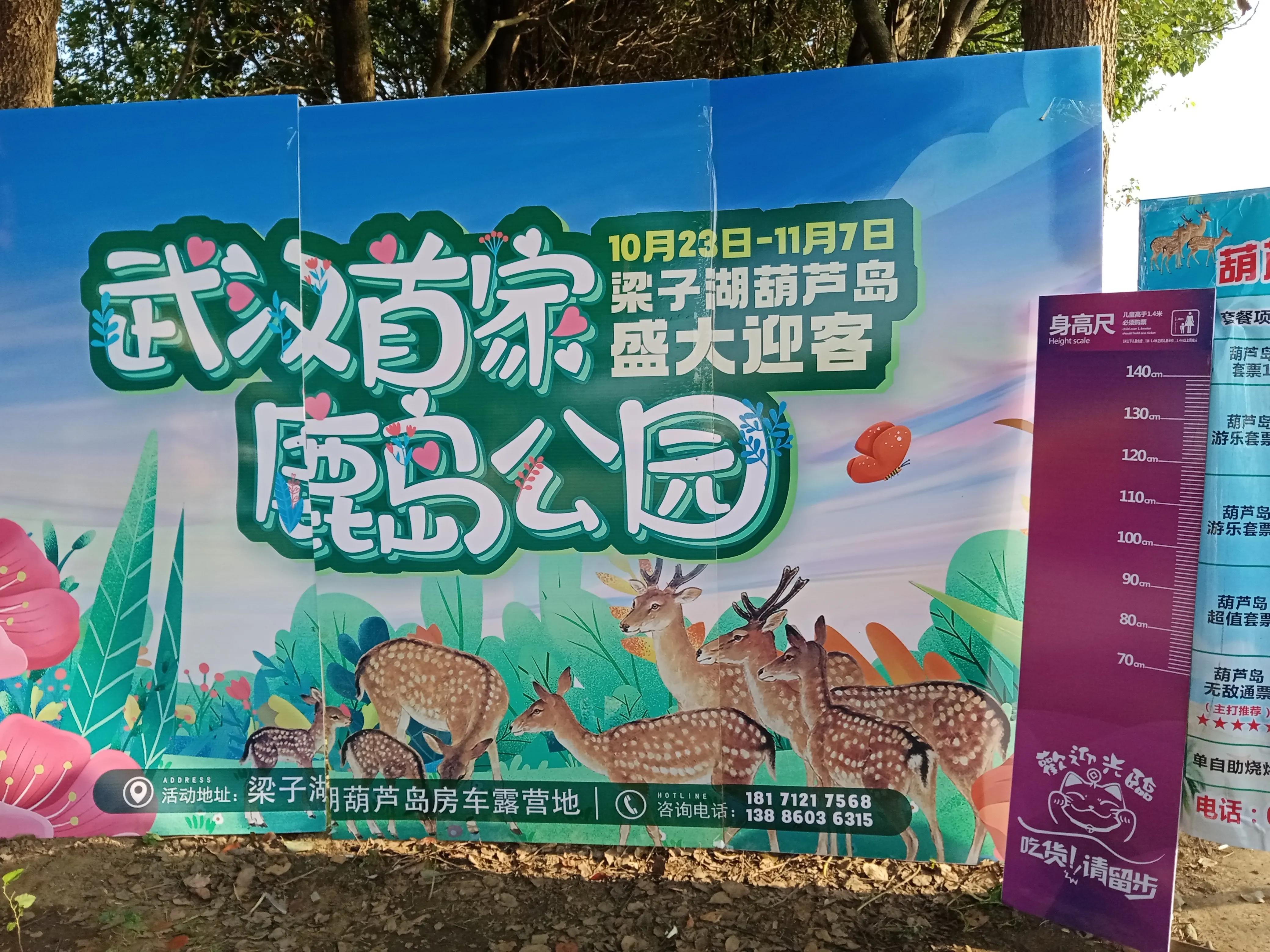 我们来到了鹿岛上