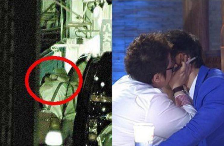 许志安和韩红接吻图片,韩红喜欢过栾树