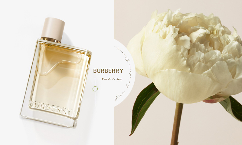burberry香水高定英伦玫瑰,burberry自由之水香水