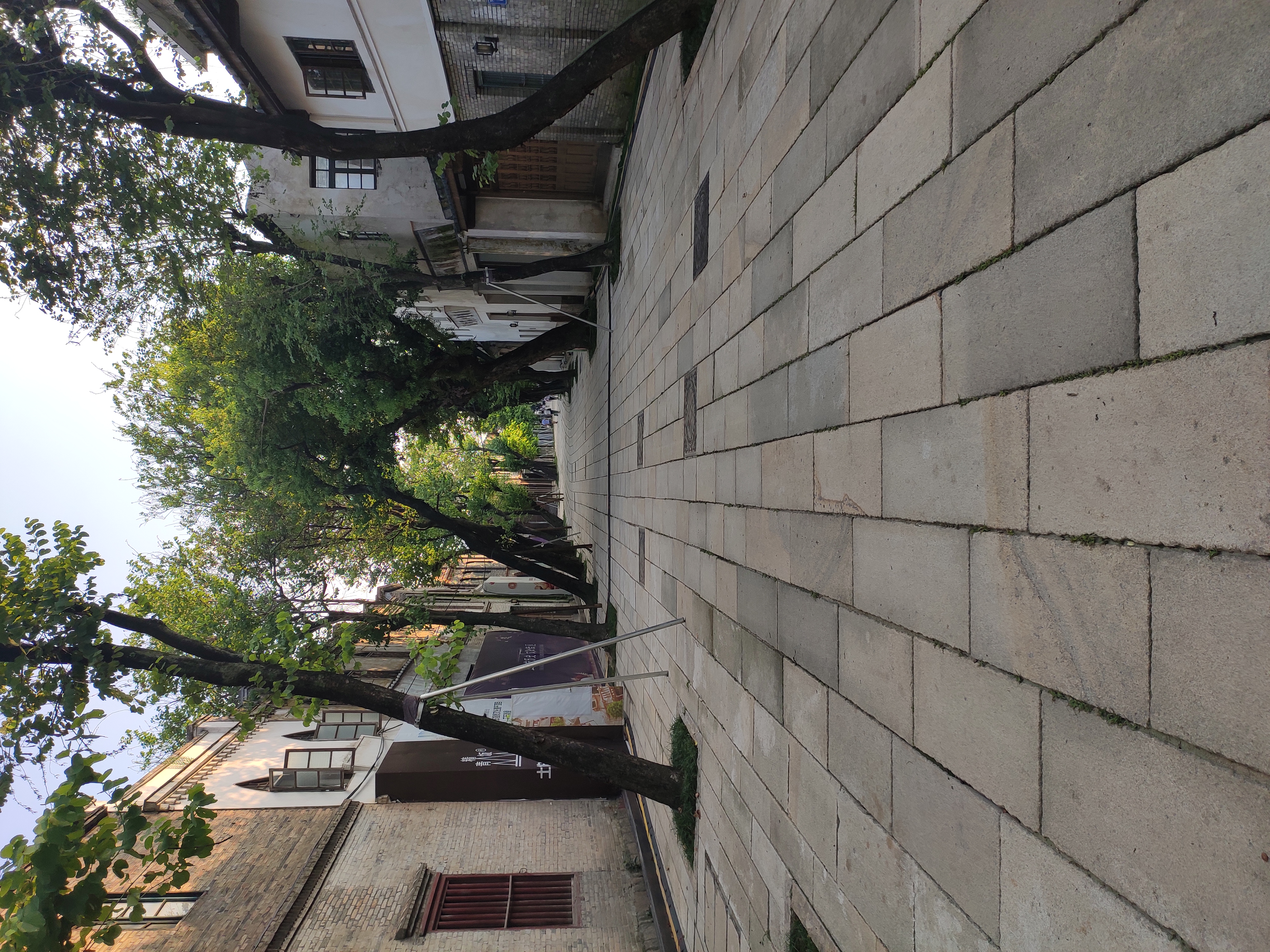 又是暑假研学作业，找个少人，少花钱的地方去吧