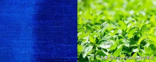 牛仔裤褪色了可以重新染色吗,牛仔裤褪色一般是什么颜色