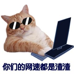 500m宽带网速只测出100m怎么回事,100m的宽带网速怎么样适合家用吗