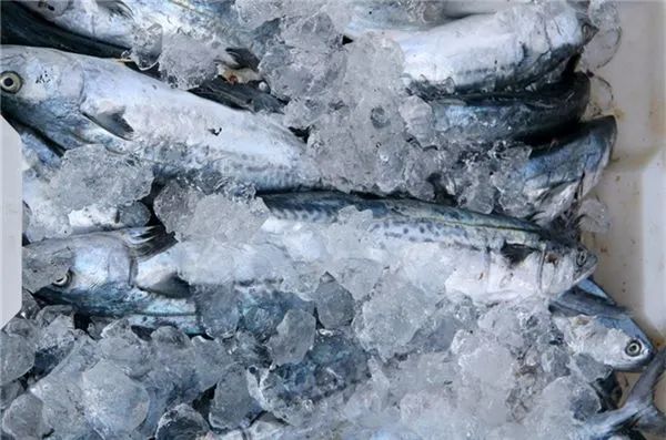 速冻海鲜和冷冻海鲜有什么区别,冰冻海鲜和新鲜的口感区别大吗