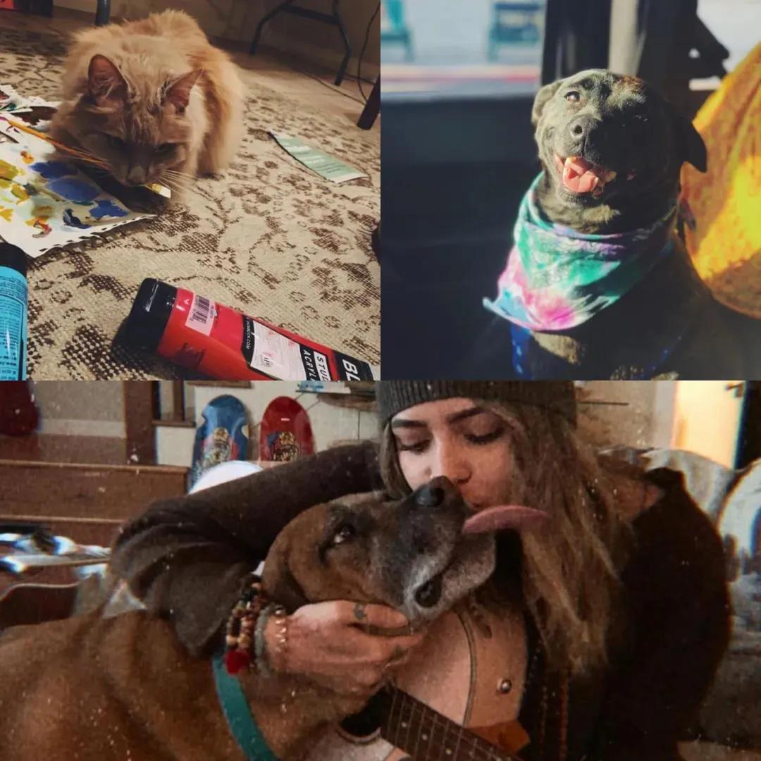 迈克尔杰克逊的儿子和女儿的状况,迈克尔杰克逊女儿们现状