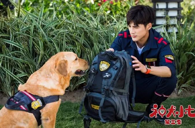 姜潮麦迪娜二胎综艺,姜潮麦迪娜综艺节目闺蜜