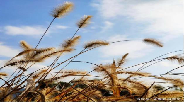 免疫药物不良反应如何处理好,滥用药物怎么恢复