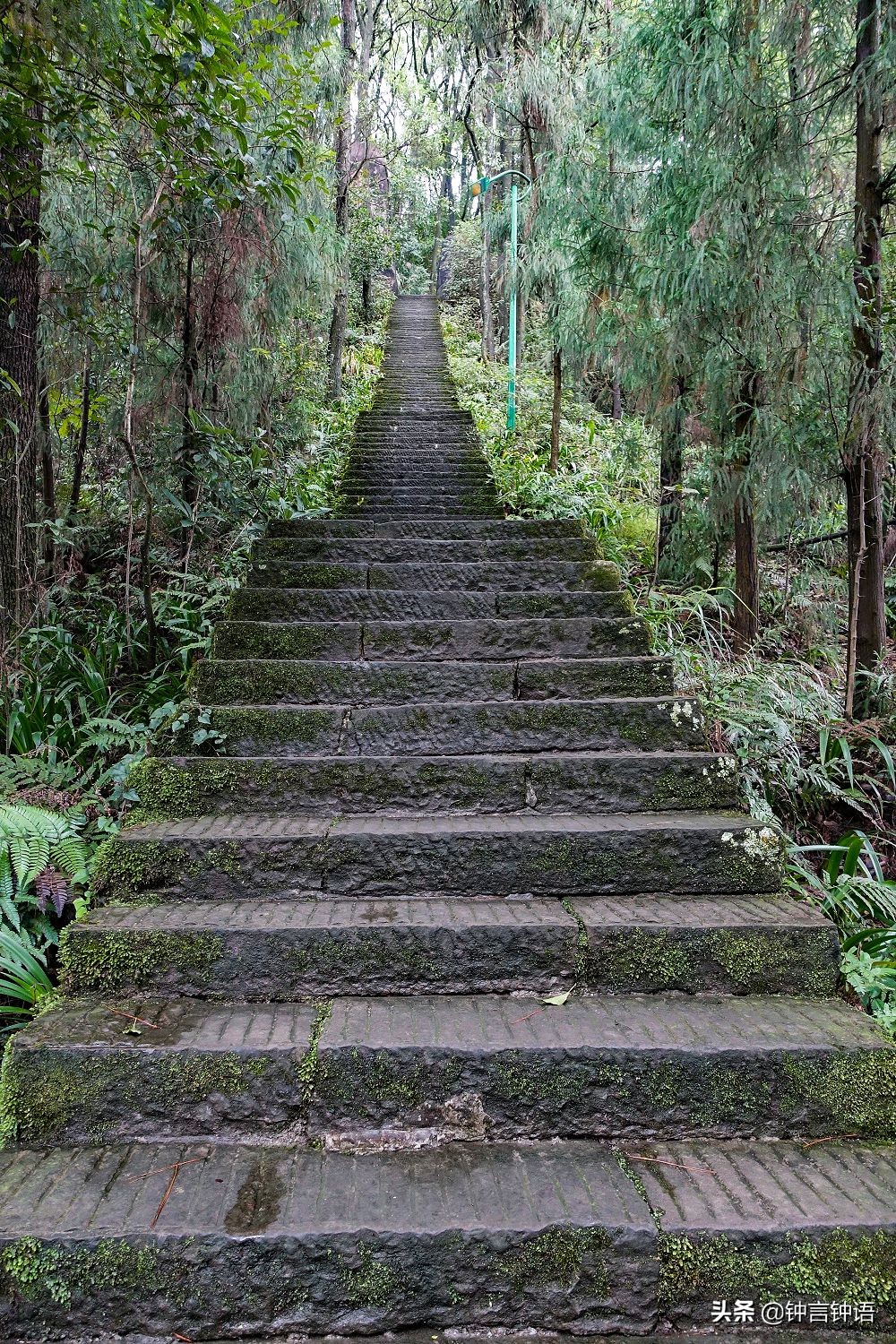 寻找消失已久的“歌乐灵音”：重庆歌乐山半日游