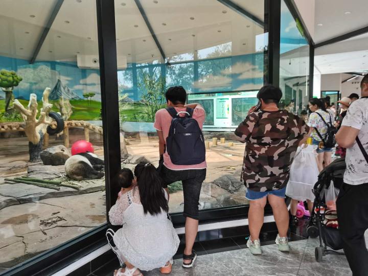 今日鞍山新闻联播回看,鞍山10月新闻日报