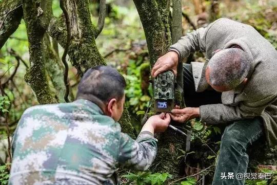 据说，2018年四川最厉害的新闻摄影都在这里