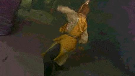 国产剧热度排行榜最新,热度榜破亿剧