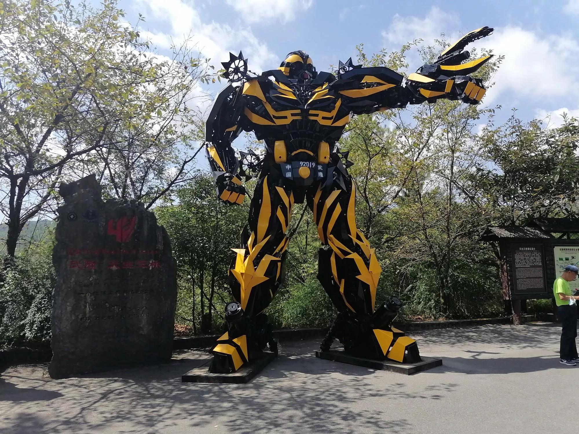 重庆武隆天坑三桥旅游一日游,重庆武隆天坑旅游详细攻略