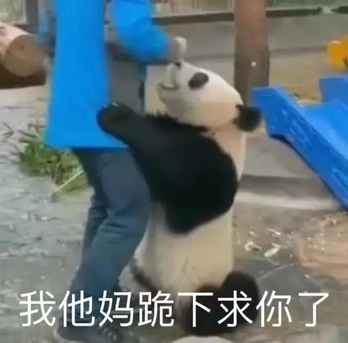 假面骑士骂人表情包,表情包怼人不失礼貌