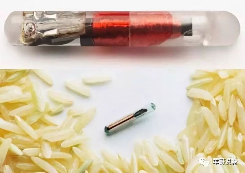 第一回:YY创始人植入芯片,羊哥老司机揭秘打假