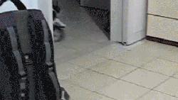 3个月的布偶猫怎么培养性格,怎么培养小猫有猫德