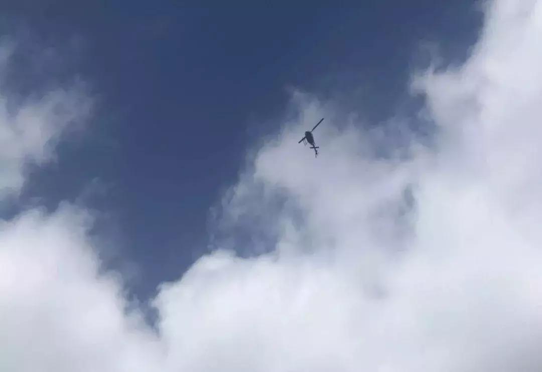 阅视野丨抢劫犯闯入学校？中国教师亲历美国学校的安全防范