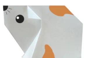 最简单的折纸大百科手工,手工折纸教程6-8岁详细讲解