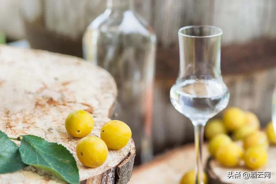 卡尔瓦多斯白兰地和干邑,干邑白兰地欧洲版有什么不同