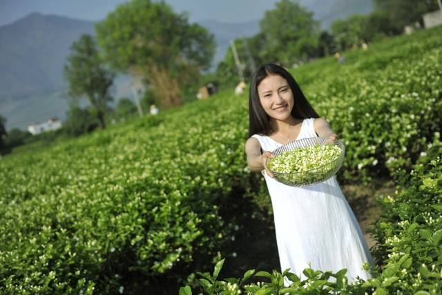 茉莉补水保湿纯露,补水纯露湿敷水推荐