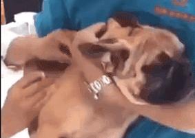 “闺蜜看见我脱毛，说我心机太重”