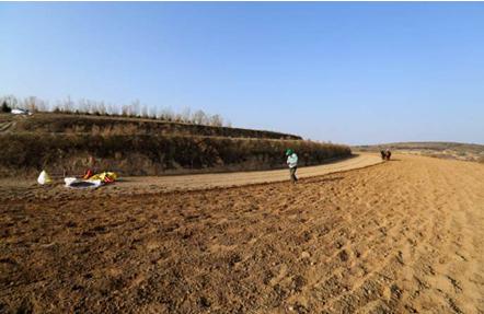 足球场上悟出的创业道理:激情拼搏