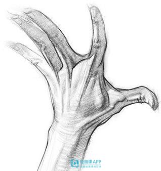 动漫人物手部画法教程,动漫男生手部画法