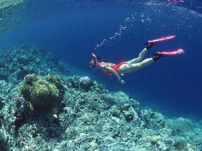 深潜与浮潜,深潜浮潜海钓