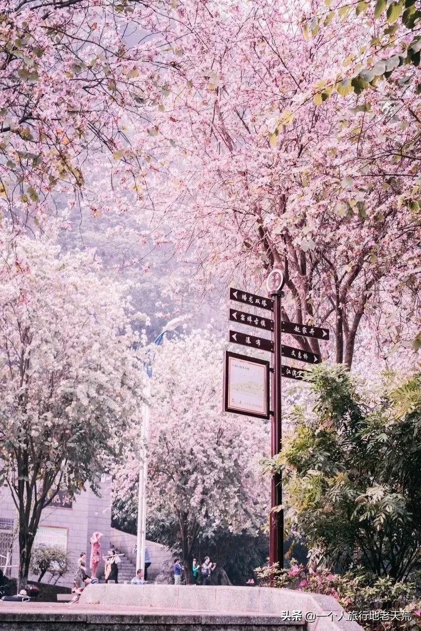 广西哪些城市是靠一碗粉火起来的,凭一碗螺蛳粉征服世界