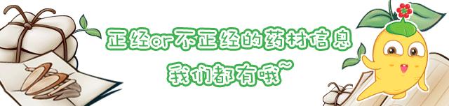 怎样才能挑一个好的养生壶,分享十款养生壶