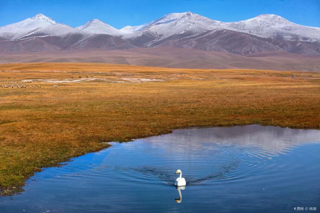 中国10条最美逆天的公路,一年仅开放四个月的独库公路