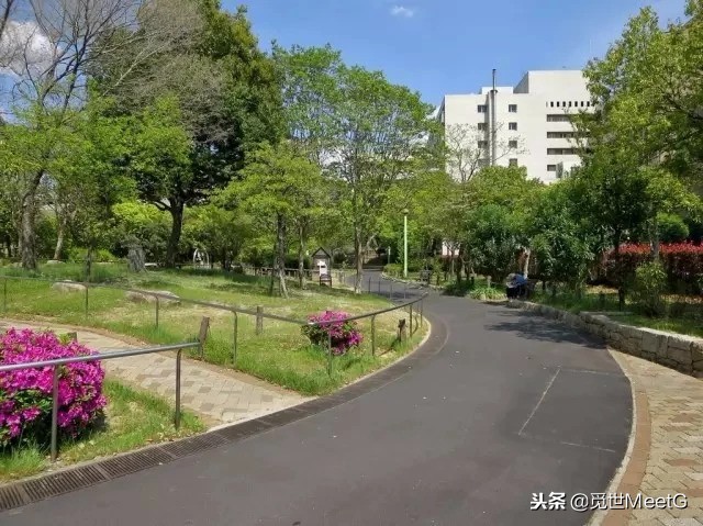 日本对假货有什么处罚,日本造假的后果有多严重