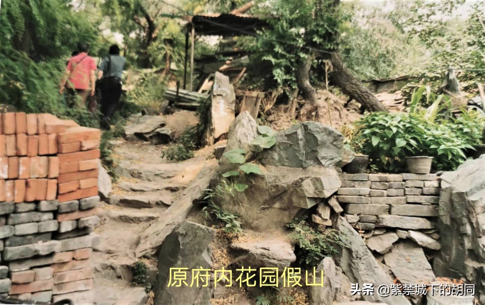 一篇*今条头日**文章，惊喜见到阿拉善王府的“格格”