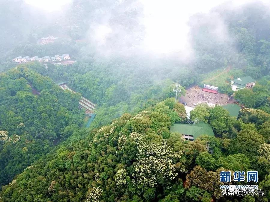 有一种生活叫永春湖洋,有一种生活叫永春夜景