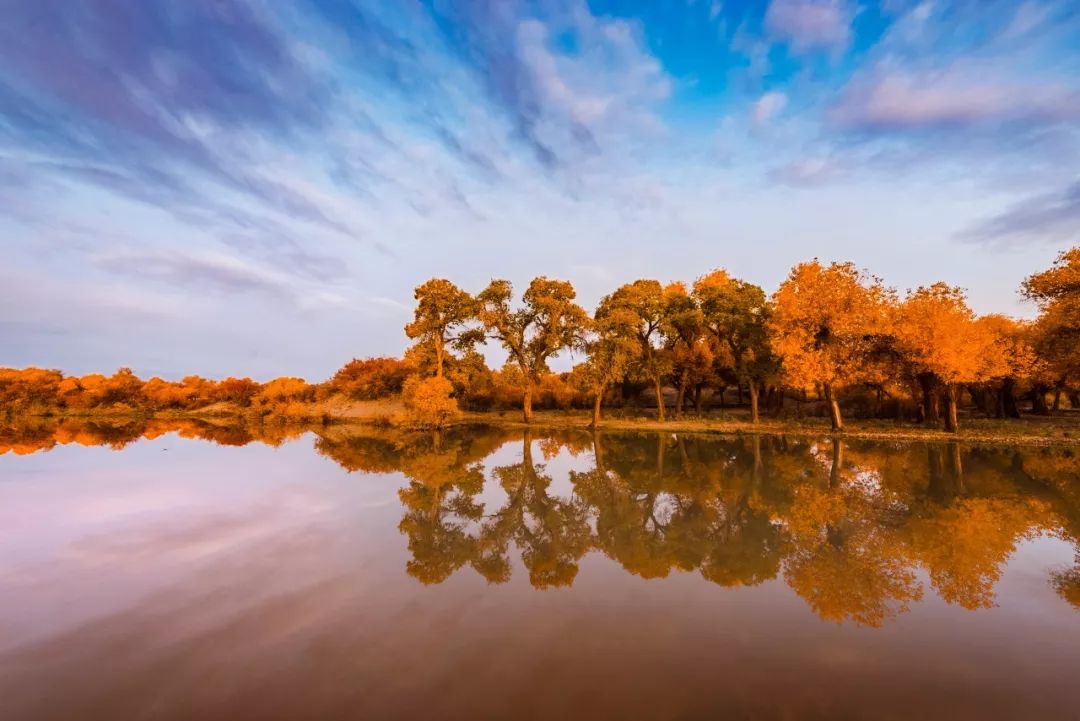 成都到额济纳胡杨林自驾旅游攻略,自驾胡杨林额济纳旗开什么车