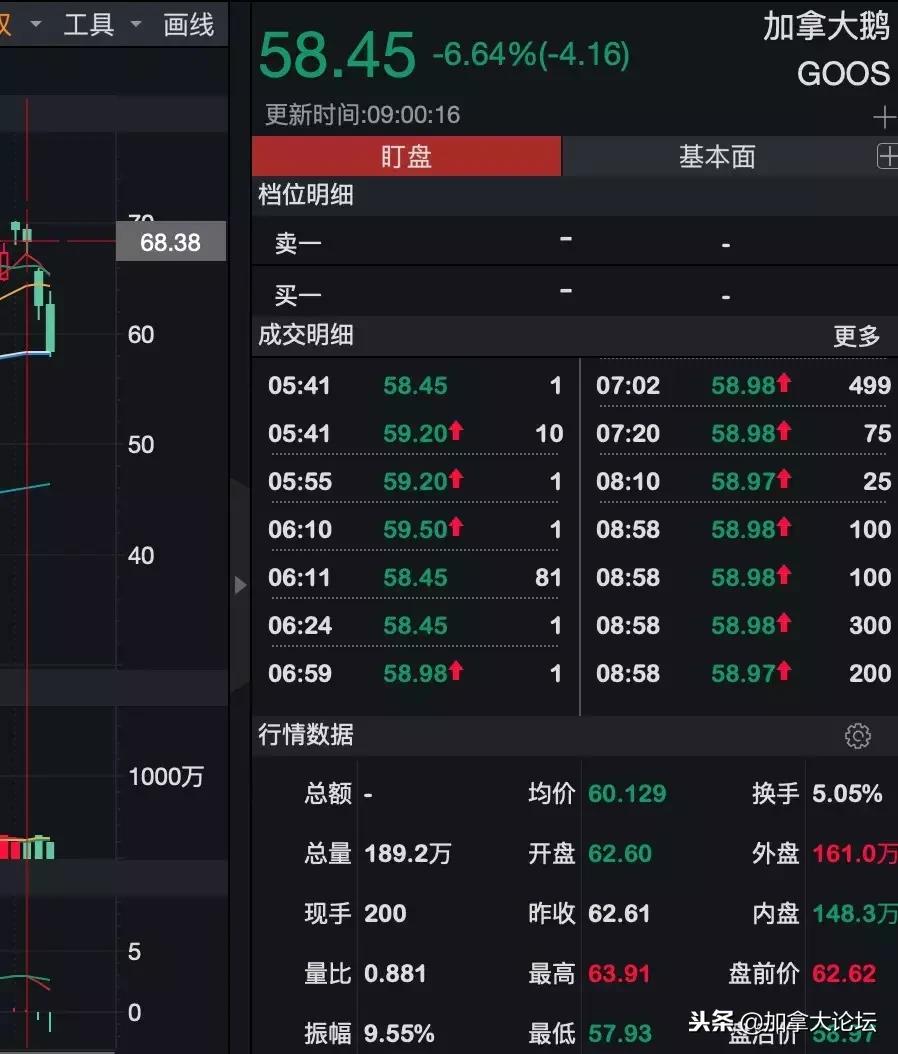 加拿大鹅面临的处罚,加拿大鹅犯错事件