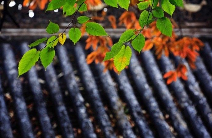 九月遇见最美的风景,金秋九月遇见更好的自己