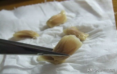 吃完的水果不要扔试试在家就能种,吃完的水果种子