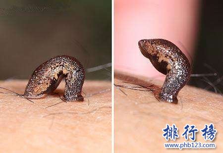 中国古代八大惊天骗术,中国十大诡异传说