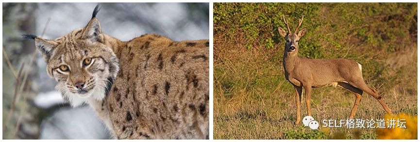 新疆天山世界文化遗产,天山为什么被入选为世界自然遗产