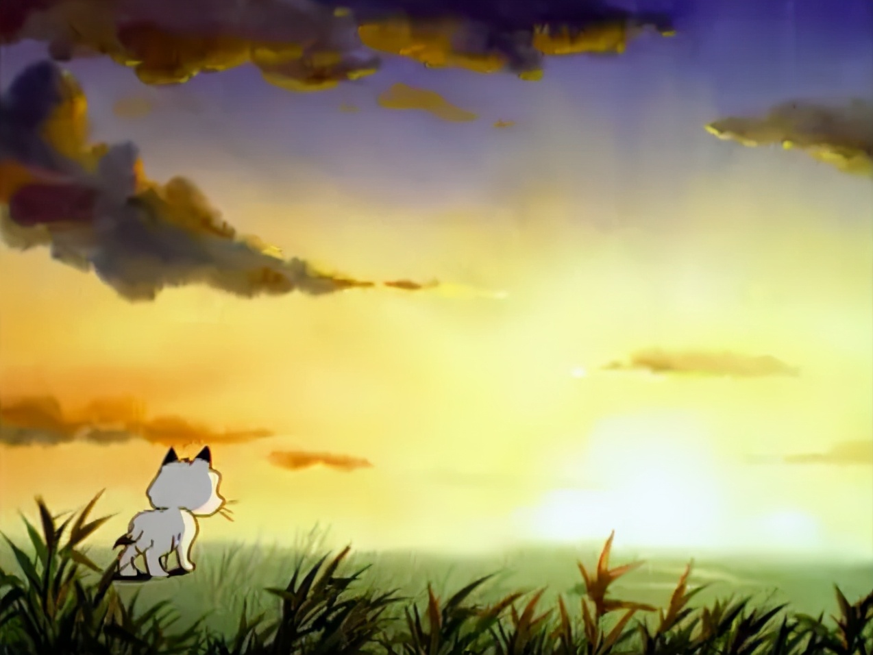 小贝流浪记，国内“最具教育意义的动画”，成就了一只会飞的猫