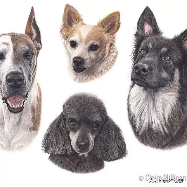 画的比照片还逼真,画的比照片还真实