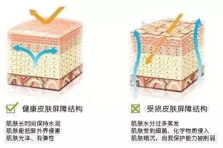 35岁用什么眼霜去细纹最快,35岁了细纹多用什么护肤品好
