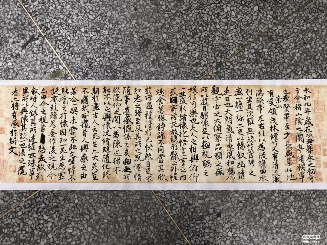 有毒！又一位宝藏小姐姐，玩核桃最爱“马虎”，朋友眼里是奇葩