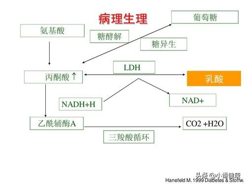 恩替卡韦乳酸酸中毒临床诊断标准,服用恩替卡韦出现乳酸偏高怎么办