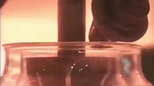 保温最好的热水瓶内胆,热水瓶内胆小尾巴有什么用