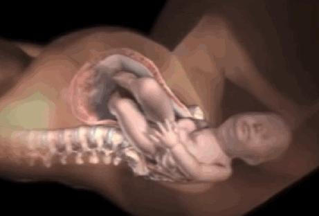 生宝宝到底有多疼看完这个就知道,生孩子到底有多疼让爸爸告诉你