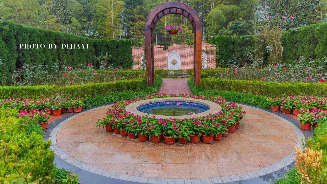 金坛花谷奇缘几月开花,金坛花谷奇缘地图