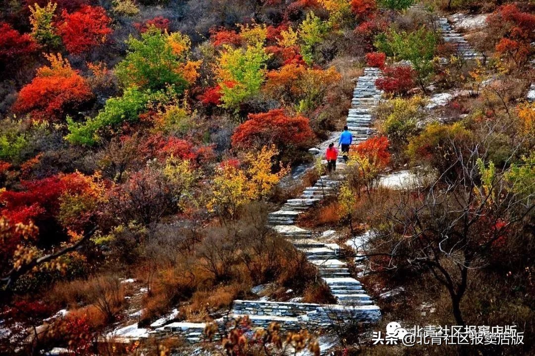 乐游丨周末将至，一起来看壮观红叶、品道口烧*吧鸡**